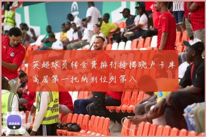 英超球员转会费排行榜揭晓卢卡库高居第一托纳利位列第八